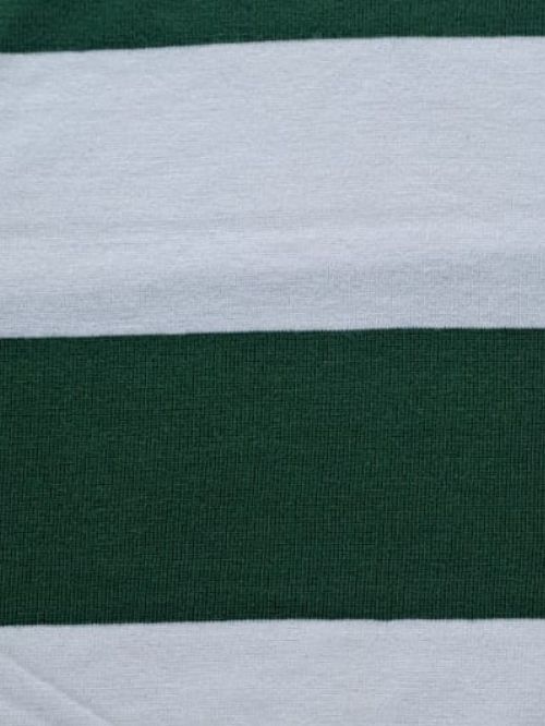 Cotton Single Jersey Auto Stripe Fabric